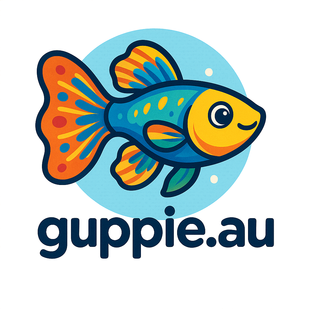 guppie.au — premium guppy breeders in Australia